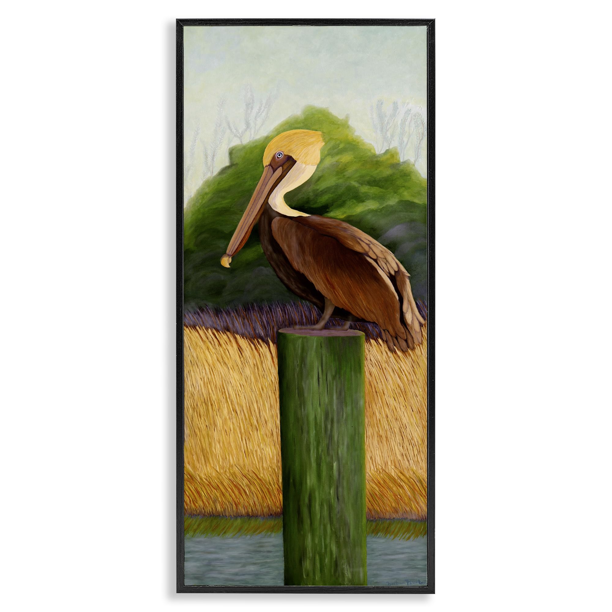 Stupell Industries 'Perched Blue Eyed Pelican', Framed Giclee Art, Black, 10 x 24 Inches, Easy to Hang and Sturdy, Made in USA, by Barbara Fallenbaum