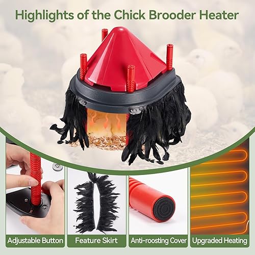 Miniatura 4 de Calentador de criador para pollitos para aproximadamente 15 pollitos de 10 x 10 pulgadas, placa de criador de fácil limpieza con plumas, placa
