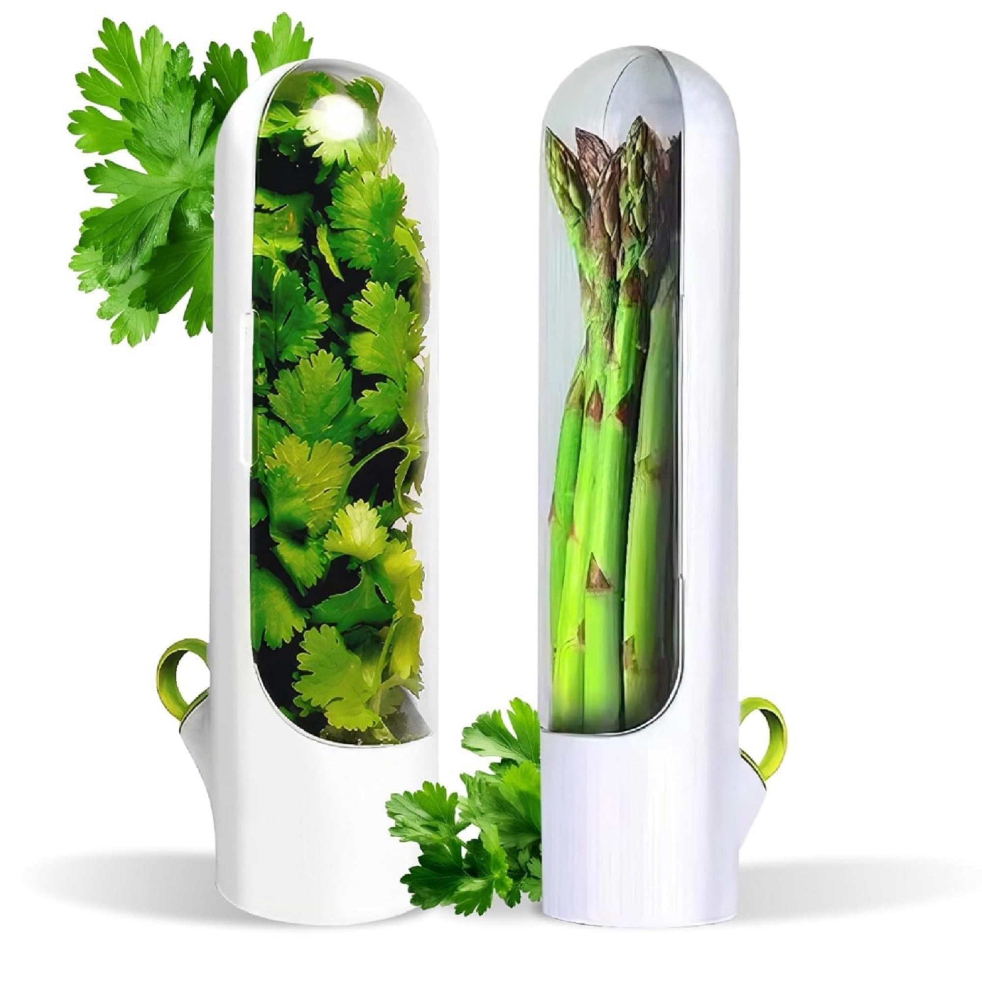 Herb storage container with water port, transparent cover and vertical stand design-image-20
