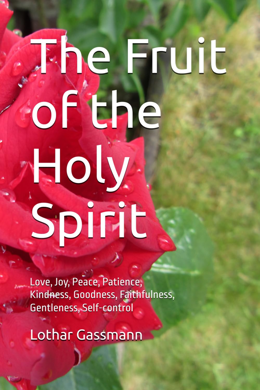 The Fruit of the Holy Spirit: Love, Joy, Peace, Patience, Kindness, Goodness, Faithfulness, Gentleness, Self-control