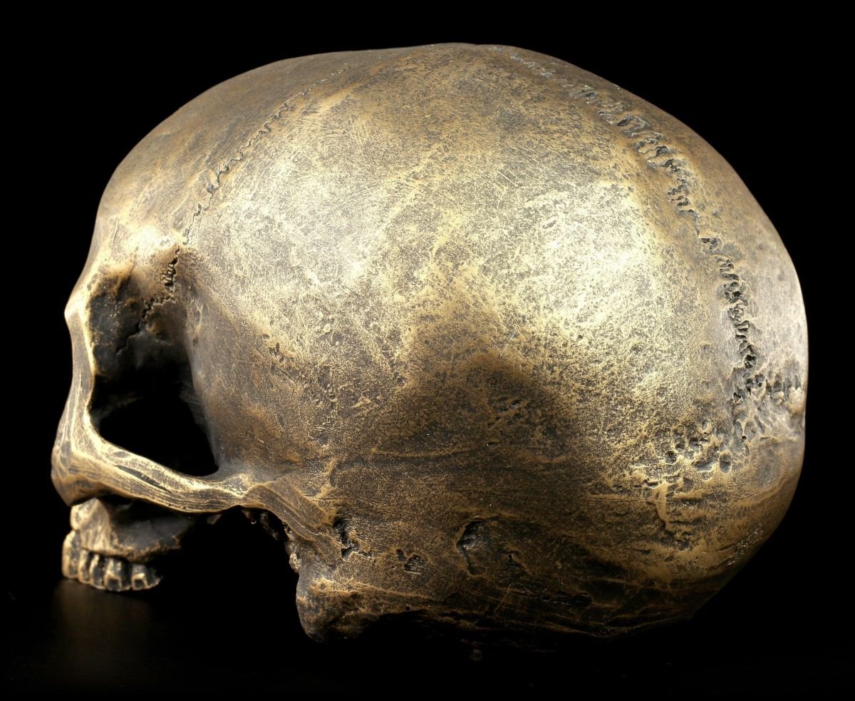 Tête de mort sans mâchoire inférieure - Or vieilli - Figurine de crâne gothique - Décoration