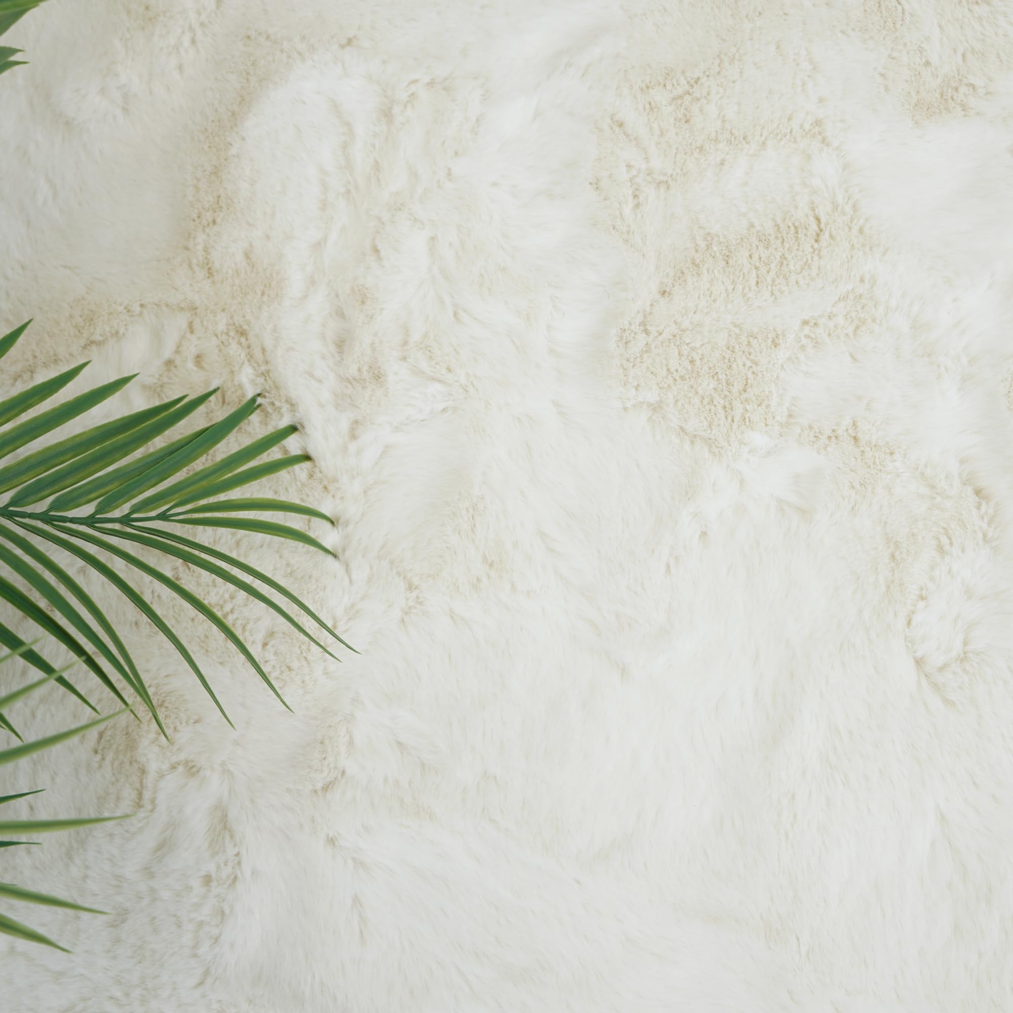 Cloud Fellteppich 80x150 Ivory weiß Creme Teppich Supersoft 39 mm Höhe Soft weich Hasenfell Imitat beige braun Wohnzimmerteppich Kinderzimmerteppich Küchenteppich Flurteppich