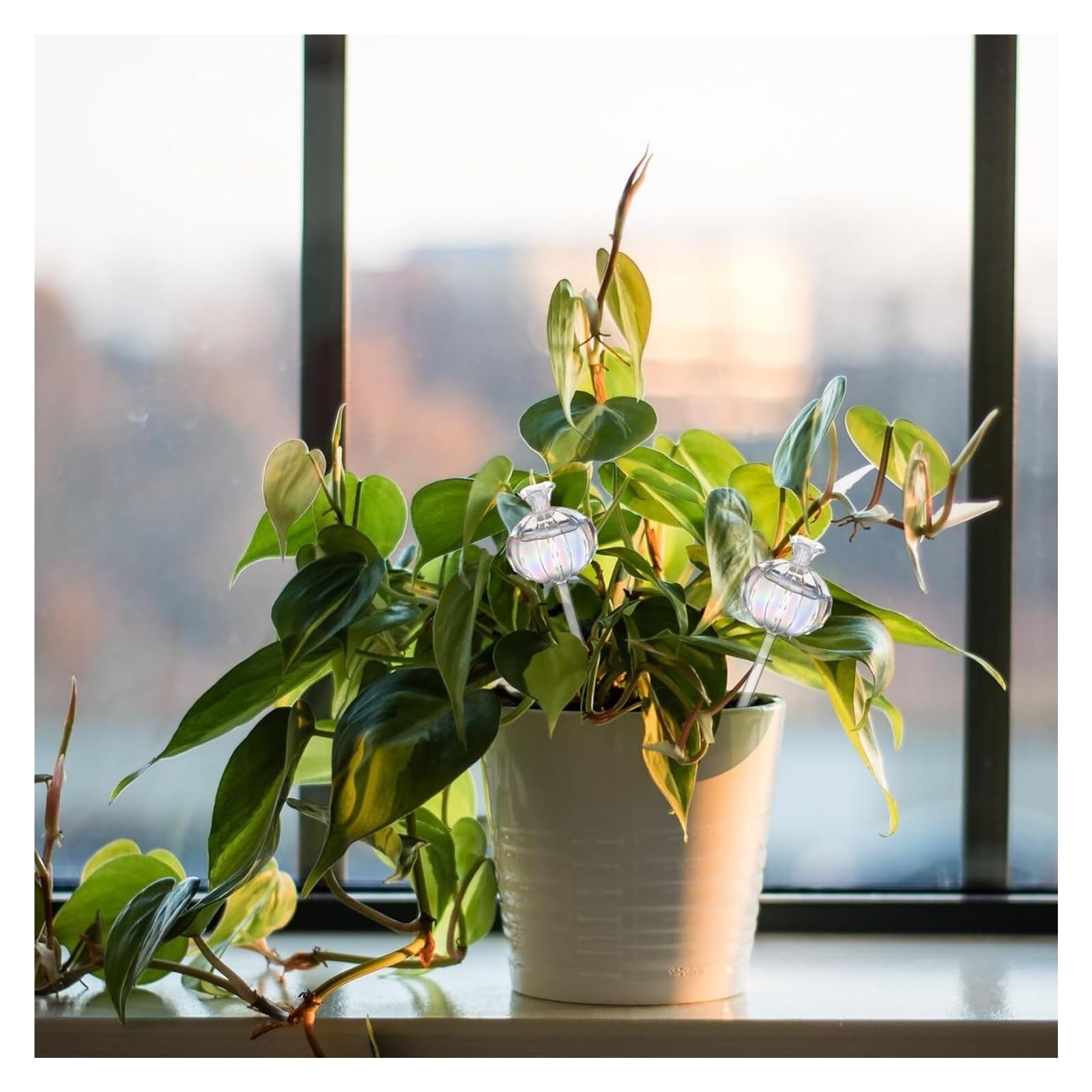 kule do podlewania roślin， Kule do podlewania roślin domowych, 4 szt. Szklane rośliny w kształcie orchidei Samonawadniające żarówki, kule wodne do roślin kwiatowych(Flare)
