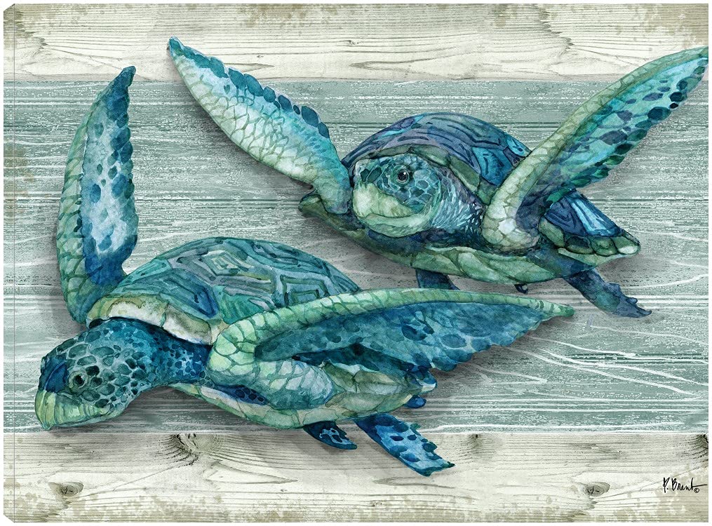 Amazon.com: Fine Art Canvas Northpoint Sealife Horizontal
