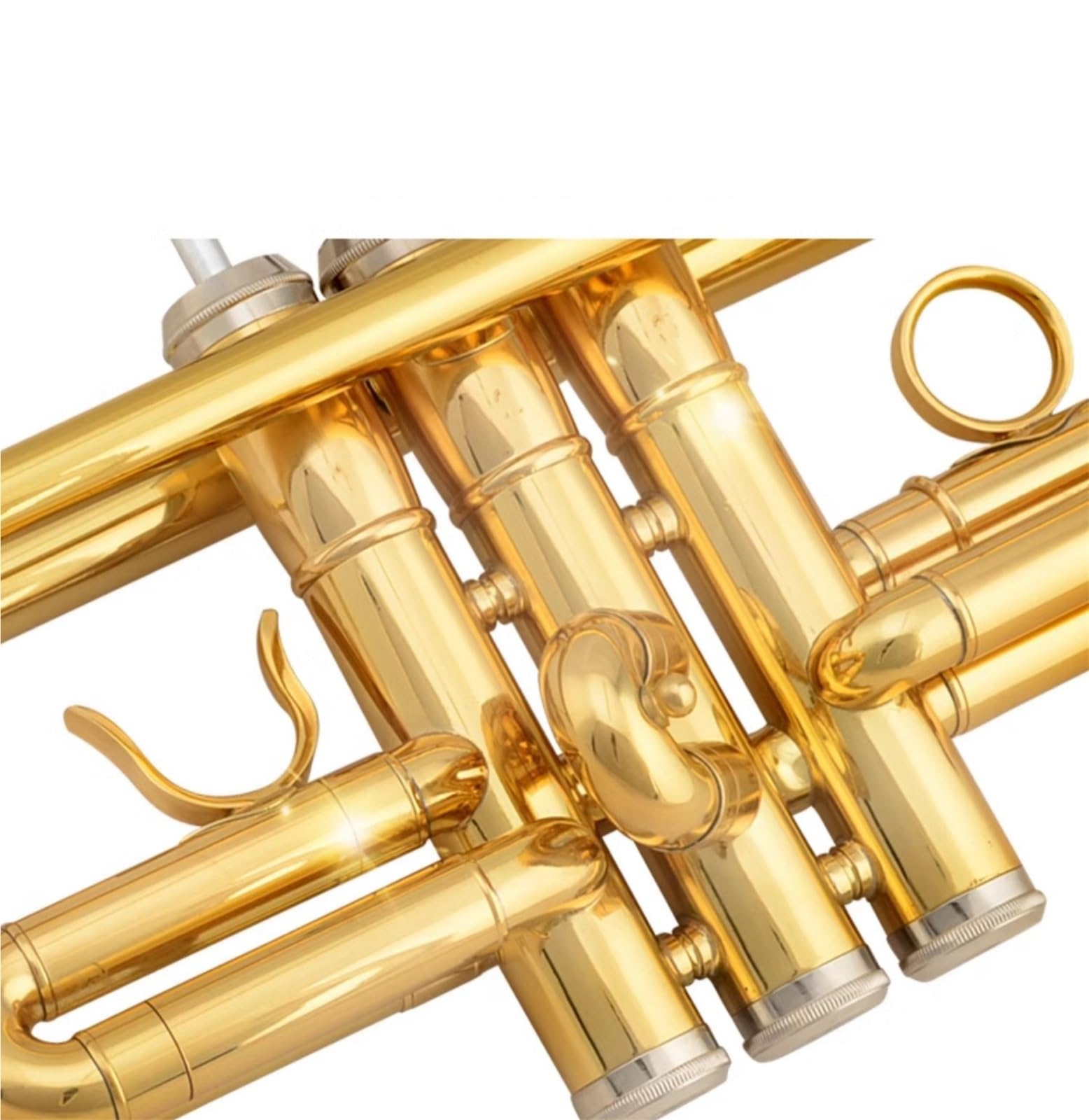Ensemble Di Trombe Standard Tromba In Sib Strumento Per Principianti Per Adulti Tubo In Ottone Laccato Oro