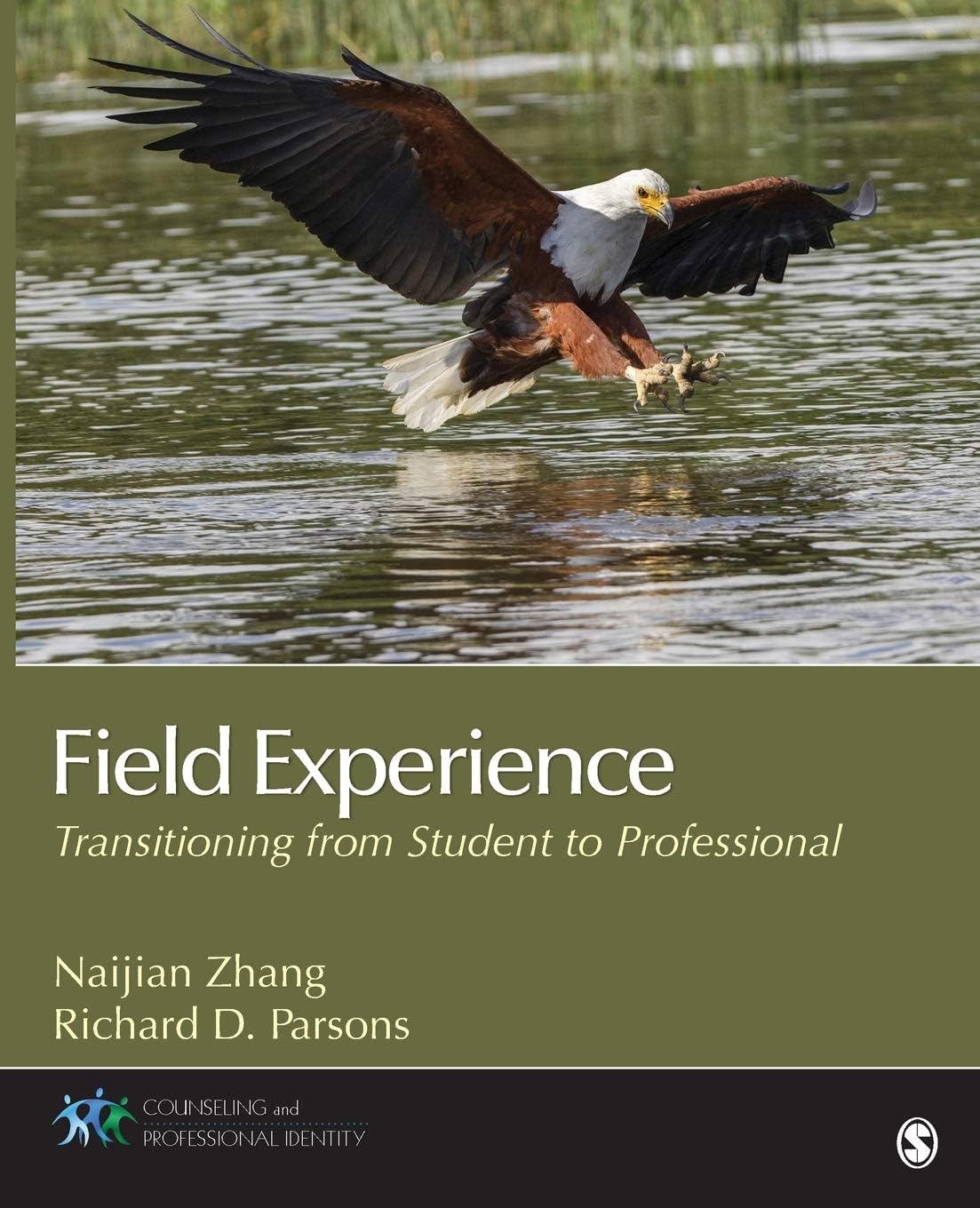 Field Experience: Transitioning from Student to Professional