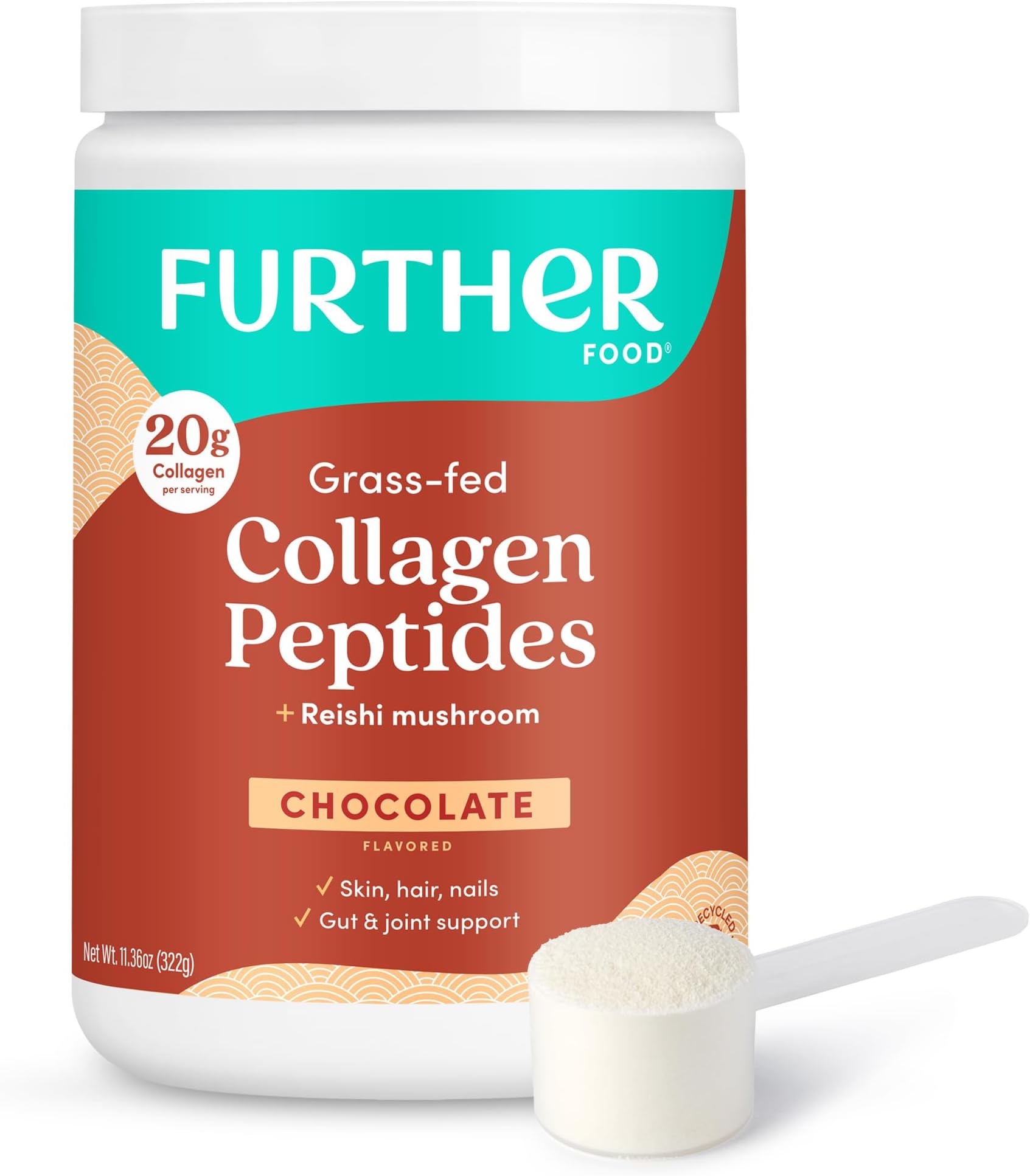 Chocolate Collagen Peptides Powder with Reishi Mushroom - 100% Grass-Fed, Hydrolyzed Type 1 & 3, 20g of Collagen per Serving, Supports Skin, Hair, Nails & Joints, 11.36 Oz