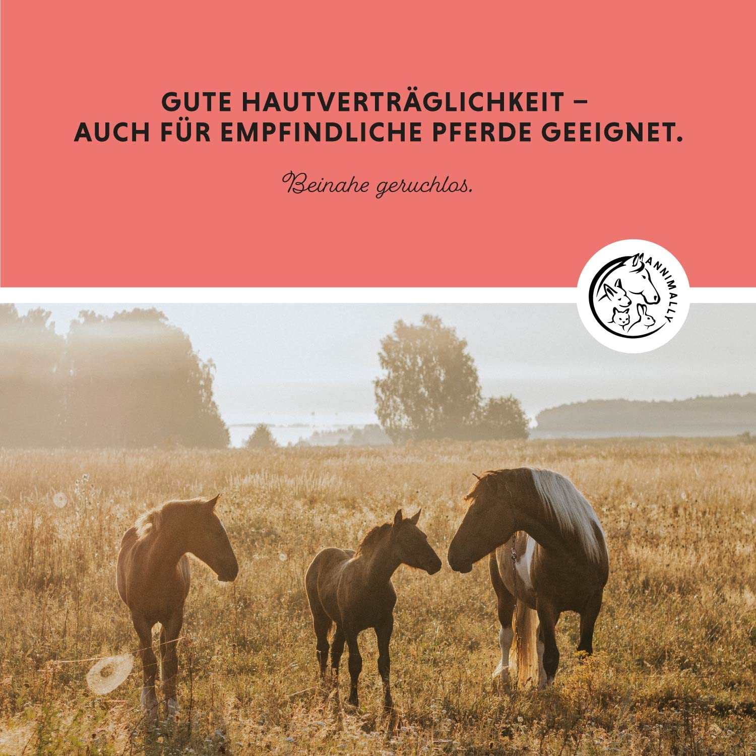 Fliegenspray Pferd 750 ML - Anti Bremsenspray Pferd für sofortigen Schutz gegen Fliegen, Bremsen, Kriebelmücken & Mücken - Insektenspray für Pferde auch als Bremsenspray für Pferde