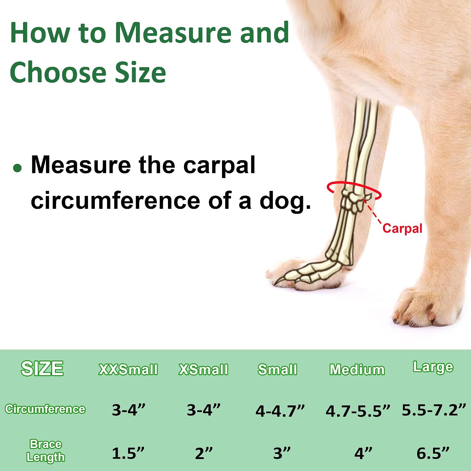 Dog Front Leg Brace Sleeve - Protects Wounds Prevents Injuries Helps Arthritis Stability - Large