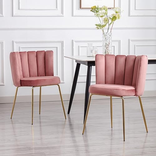 Janoray Juego de 2 sillas de comedor de terciopelo, sillas decorativas modernas con respaldo de pétalos y patas de metal dorado, cómodas sillas