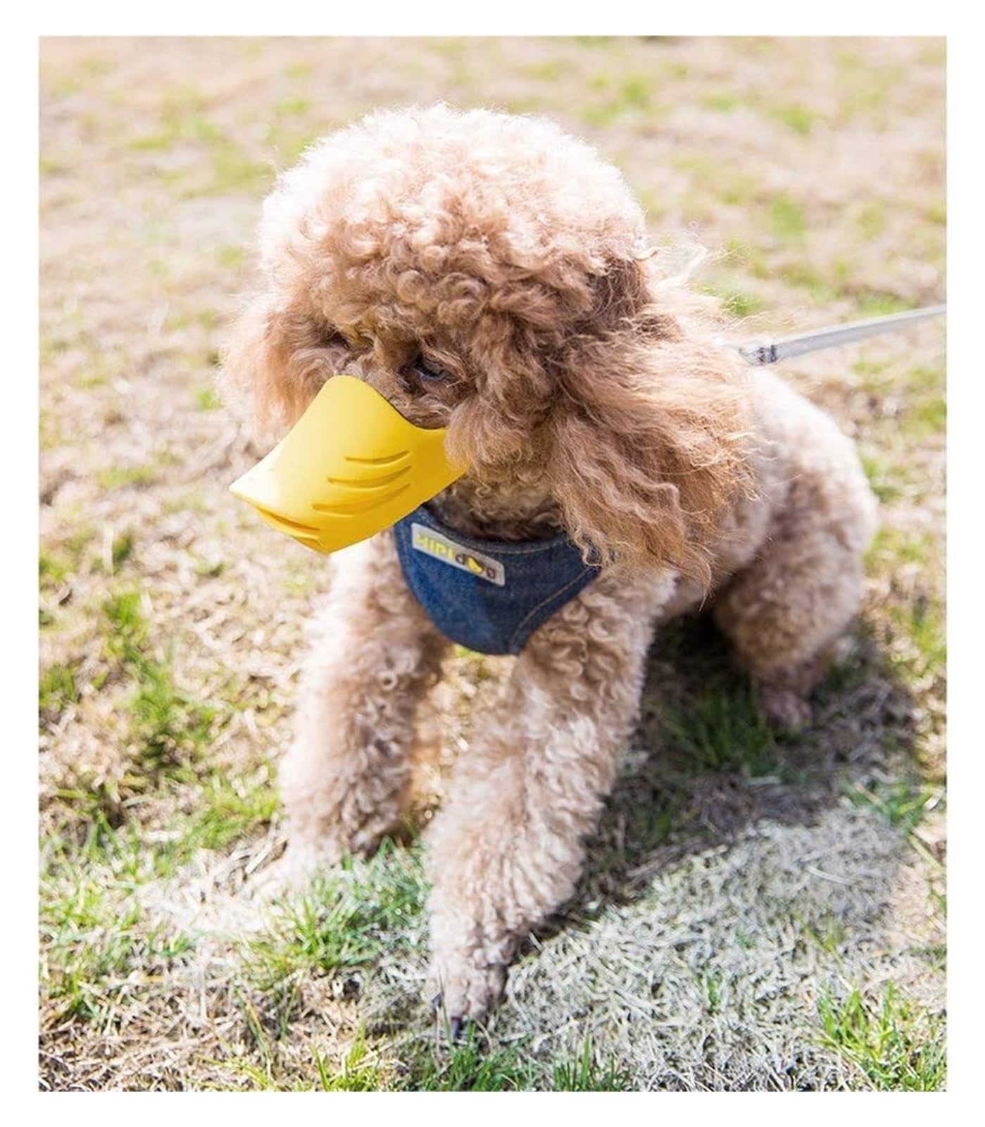 Bozal para perros pequeños y medianos, tapón de silicona suave antiladridos, cubierta de boca de pato transpirable ajustable con correa de seguridad (amarillo, S)