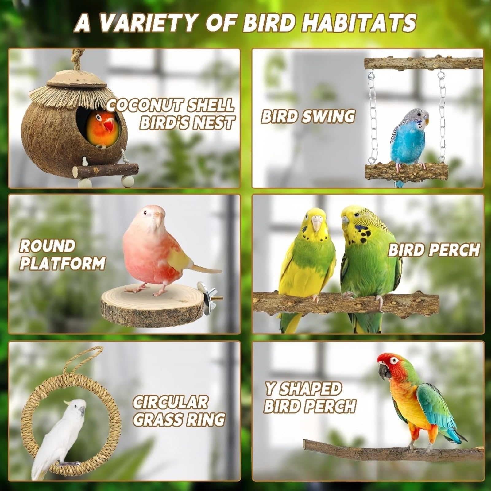 Kit d'Accessoires pour Oiseaux, Nid de Noix de Coco Naturelle avec Perchoirs en Bois de Sichuan, Balançoire et Plateforme, Adapté aux Perruches, Perroquets et Oiseaux de Petite Taille