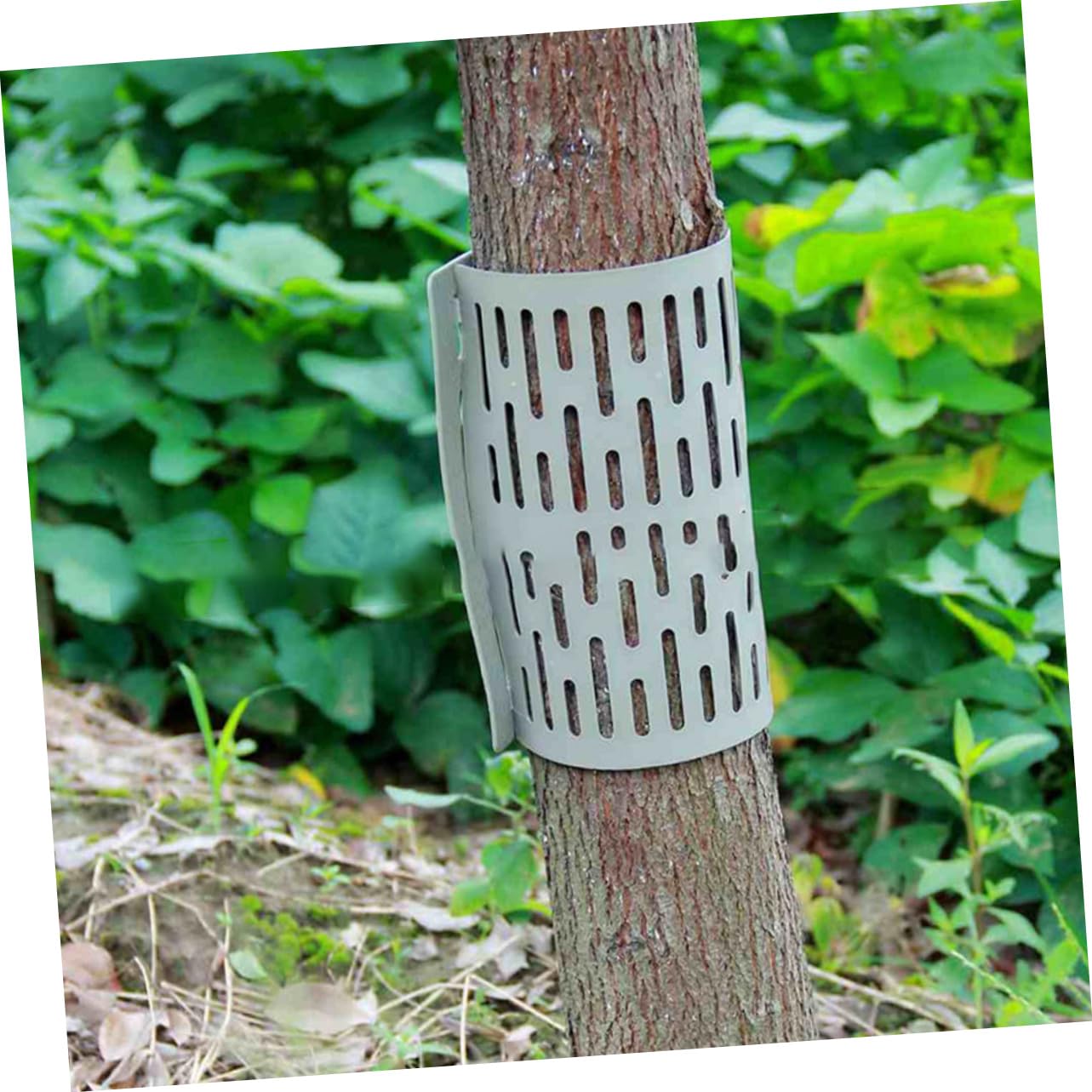Hemobllo Protezione in Plastica Pp 10 Pezzi, per Tronco, Giardino