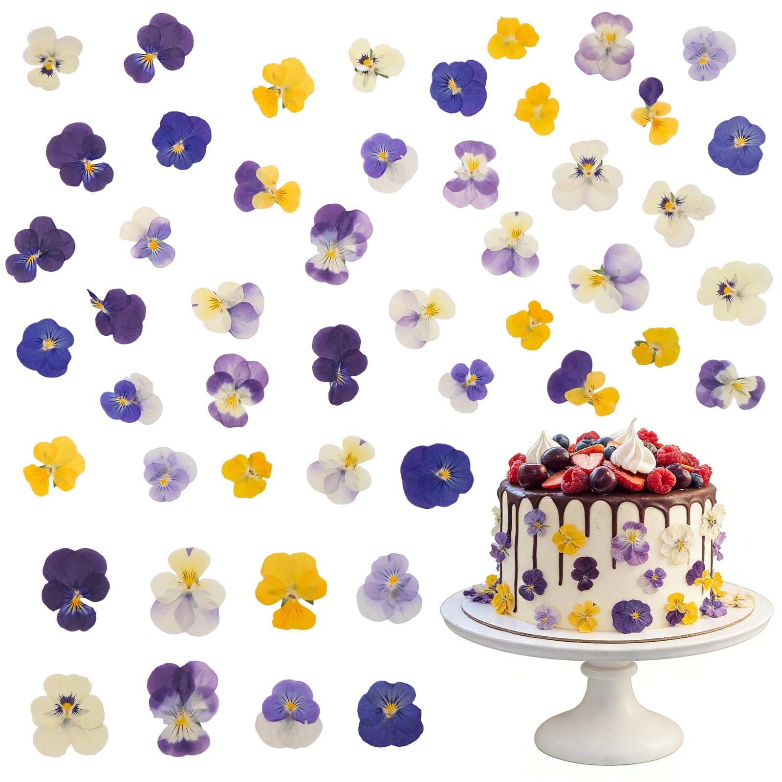 Natural Dried Violets Decorative Flowers, 40pcs 8 Types Violet Flowers Edible Flowers Edible Flowers for Cocktails DIY Crafts Cupcake Cake Decoration Candle Making-image-32