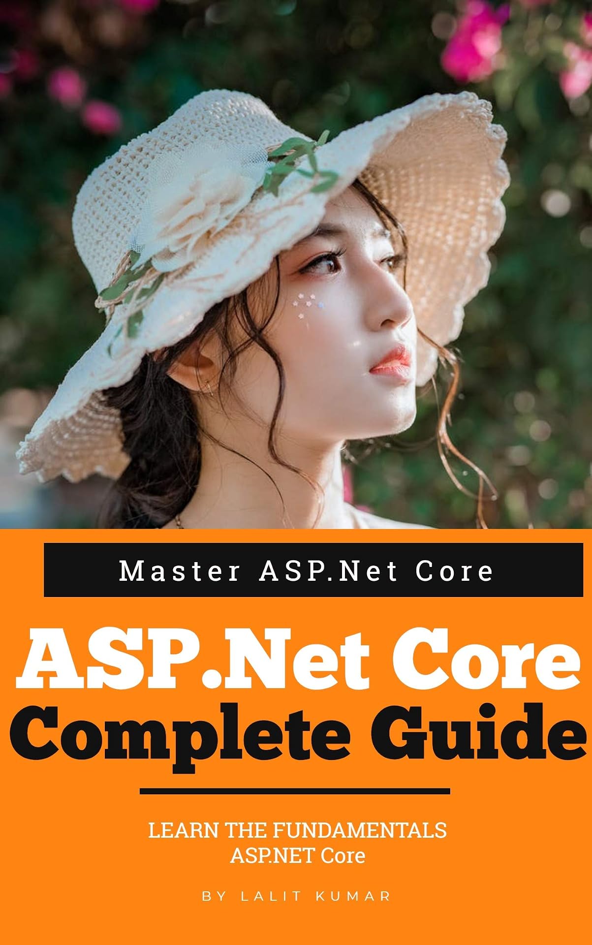 Asp Net Core Complete Guide Asp Net Core Quick Reference | Desertcart INDIA