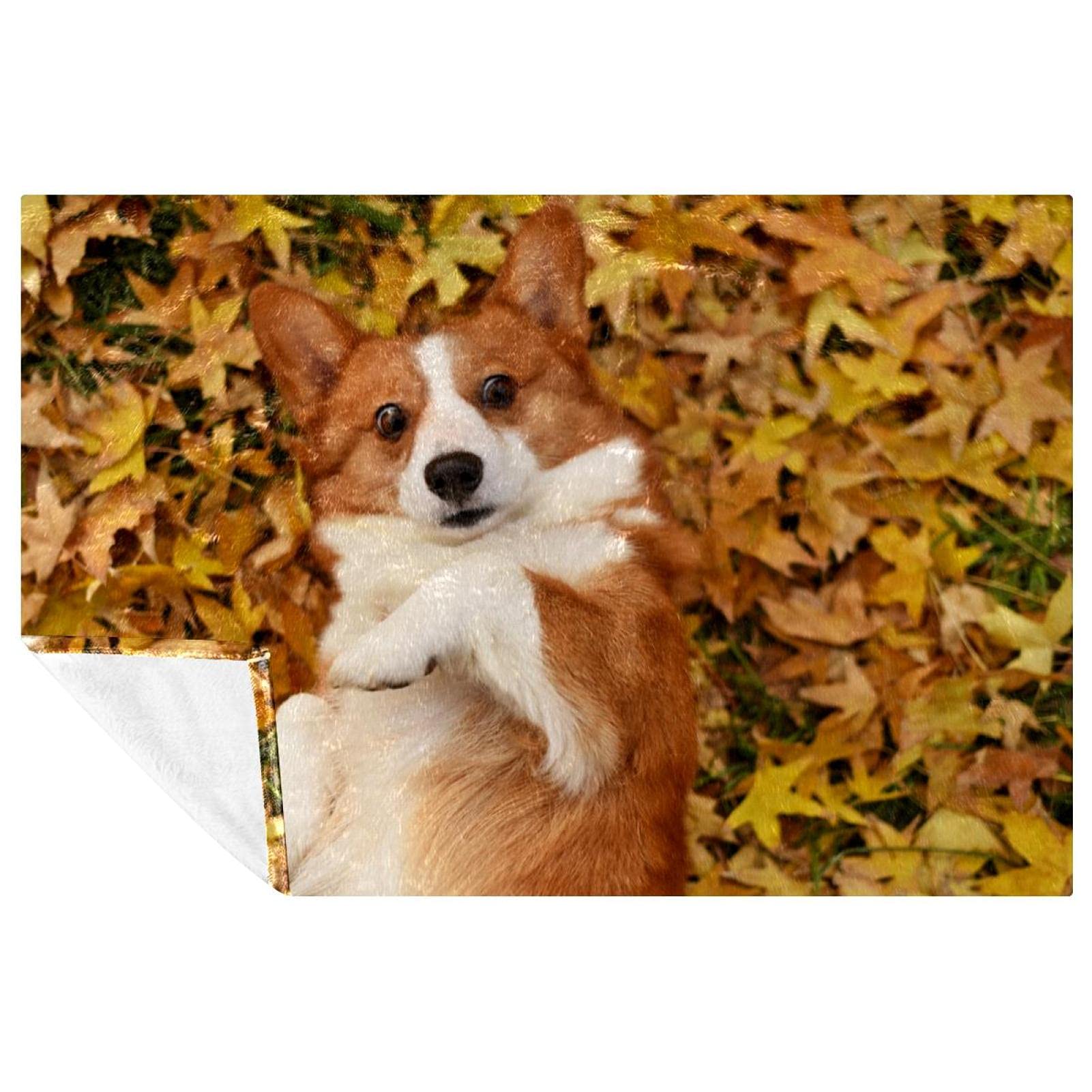 Couverture pour animal Corgi haut de gamme motif feuilles d'automne
