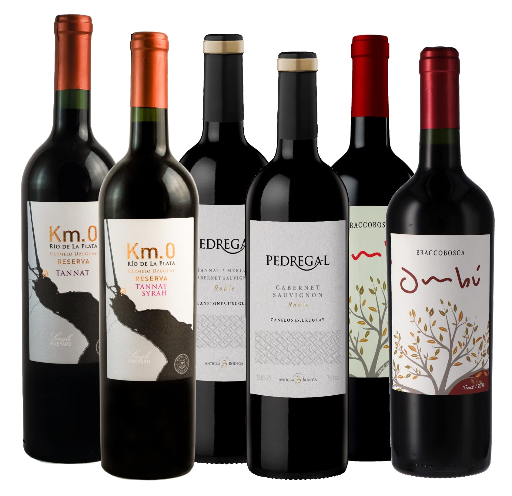 Atlantik Weine, Probierpaket Uruguay, Weinpaket mit Rotwein aus Uruguay, Südamerika, Tannat Merlot Cabernet Sauvignon und Malbec, trocken (6 x 0,75l)