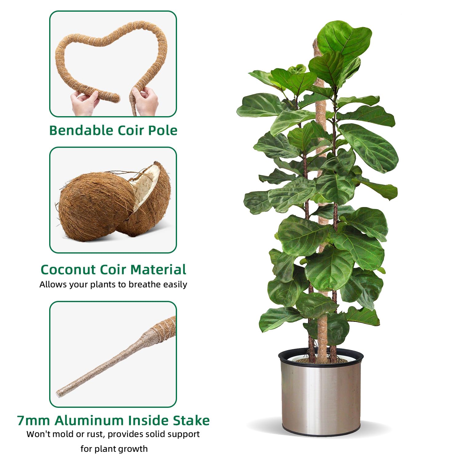 Mcbazel Moss Pole - Image 2