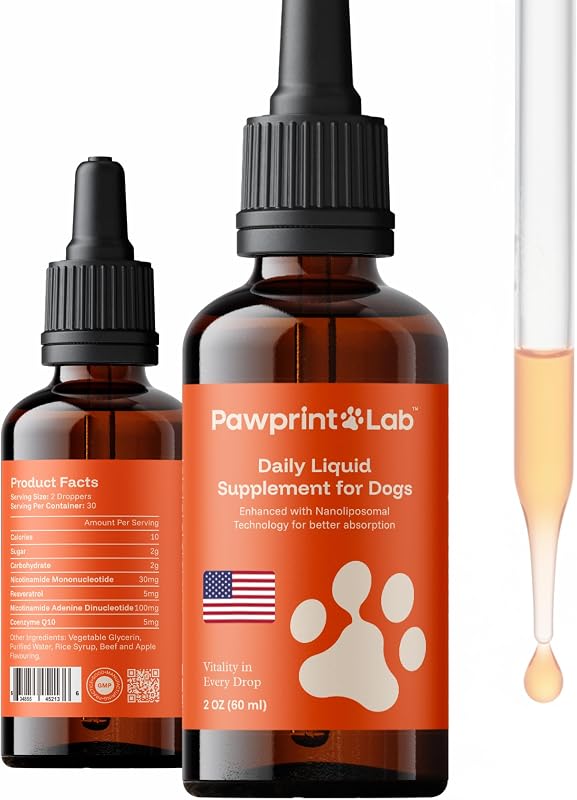 Dog Longevity Supplement NAD+ & NMN - Joint Health, Vitality & Healthy Aging - Nano liposomal Technology - Easy to Give Every Day - Better Absorption - Resveratrol - CoQ10