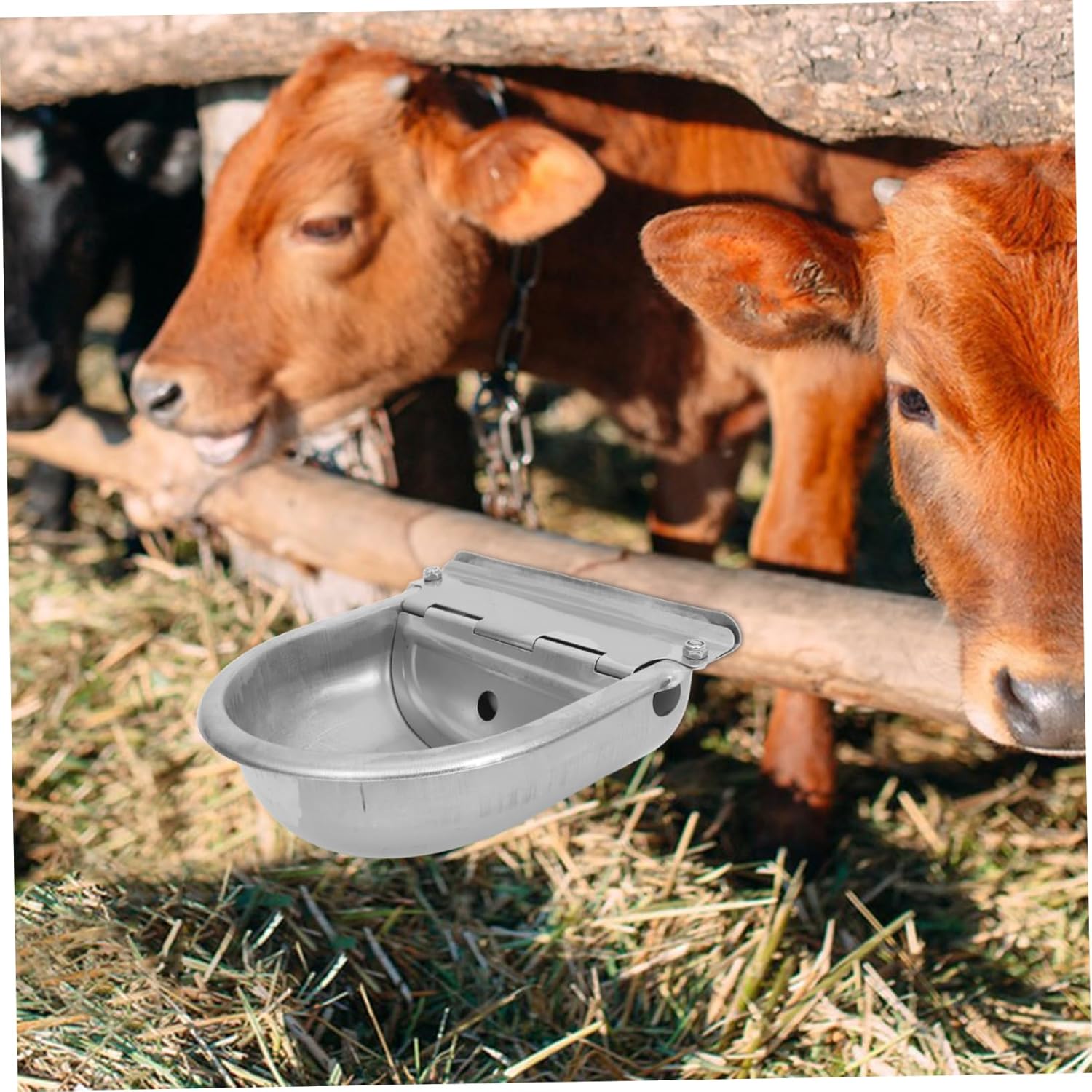 Automatic Horse Waterer Goat Waterer Stainless Steel Cattle Drinking Bowl Stock Tank Animal Water Feeder Bowl