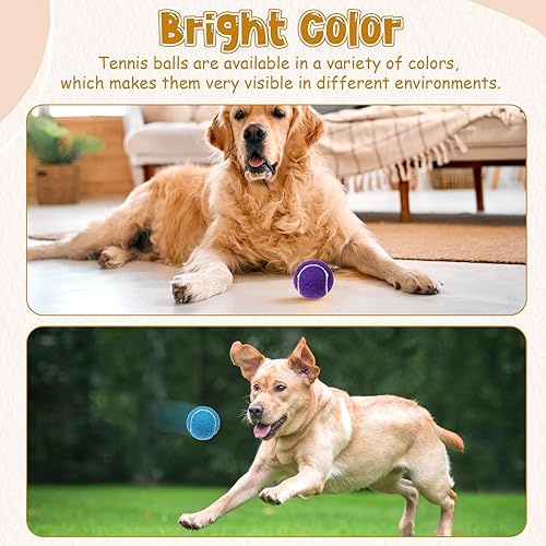 Miniatura 6 de Giantree Paquete de 20 mini pelotas de tenis para perros, pelotas de tenis pequeñas de entrenamiento de 2 pulgadas, pelota interactiva para perros,