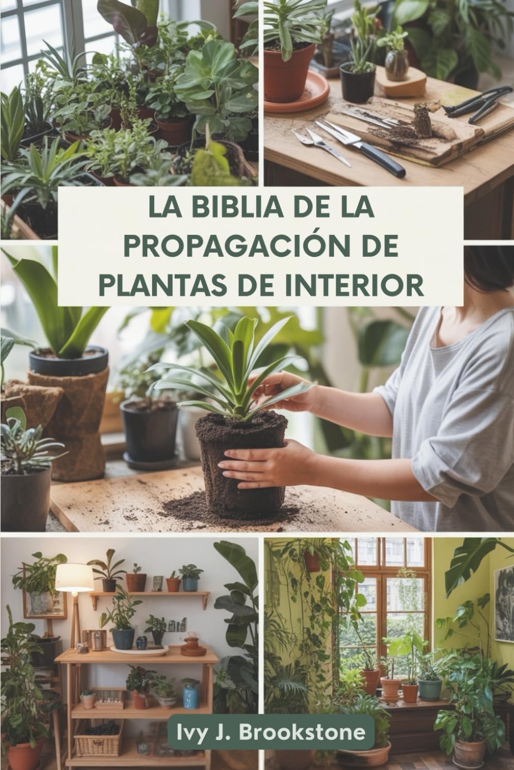 LA BIBLIA DE LA PROPAGACIÓN DE PLANTAS DE INTERIOR