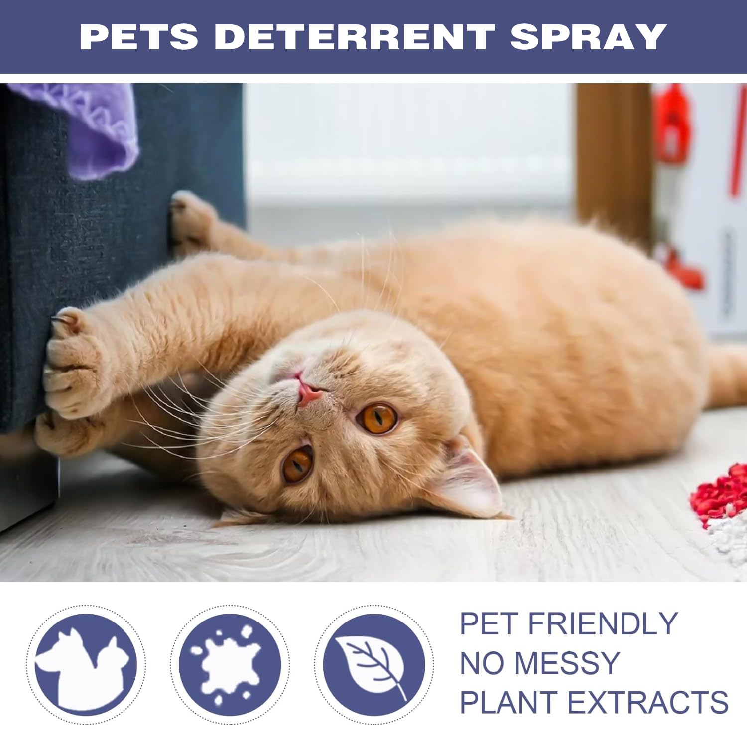 MagiSel Spray AntiGraffio, Spray AntiGraffio Gatto, Spray AntiGraffio Gatti Divano, Protegge i Mobili,Spray Addestrativo per Allenare Il Comportamento degli Animali Domestici,50 ML