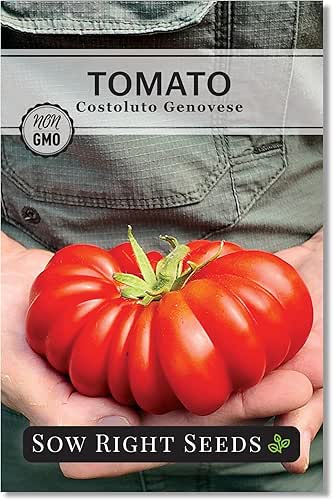 Sow Right Seeds - Costoluto Genovese Tomato Seeds for Planting
