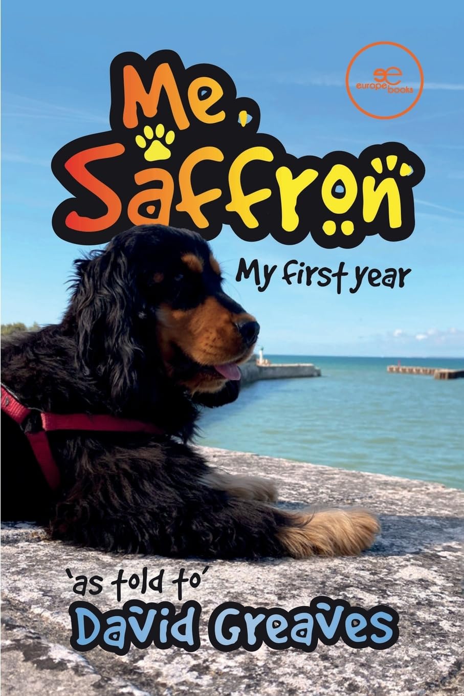 ME, SAFFRON (MY FIRST YEAR) (Build Universes)