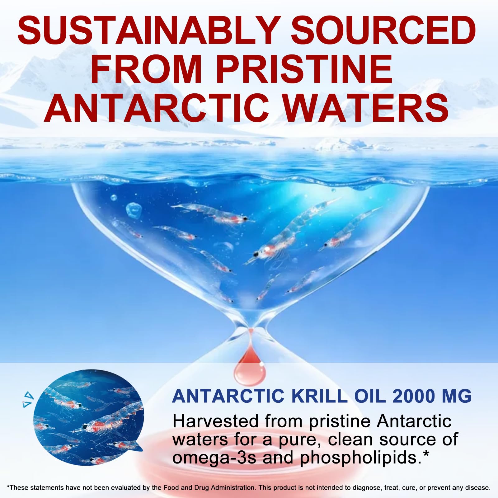 Antarctic Krill Oil 2000mg with Astaxanthin 800mcg | Omega-3 500mg | EPA 240mg | DHA 160mg | Phospholipids 400mg | 240 Softgels