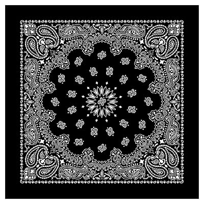 BISMAADH Unisex Cotton Western Paisley Bandanas (22X 22), Black