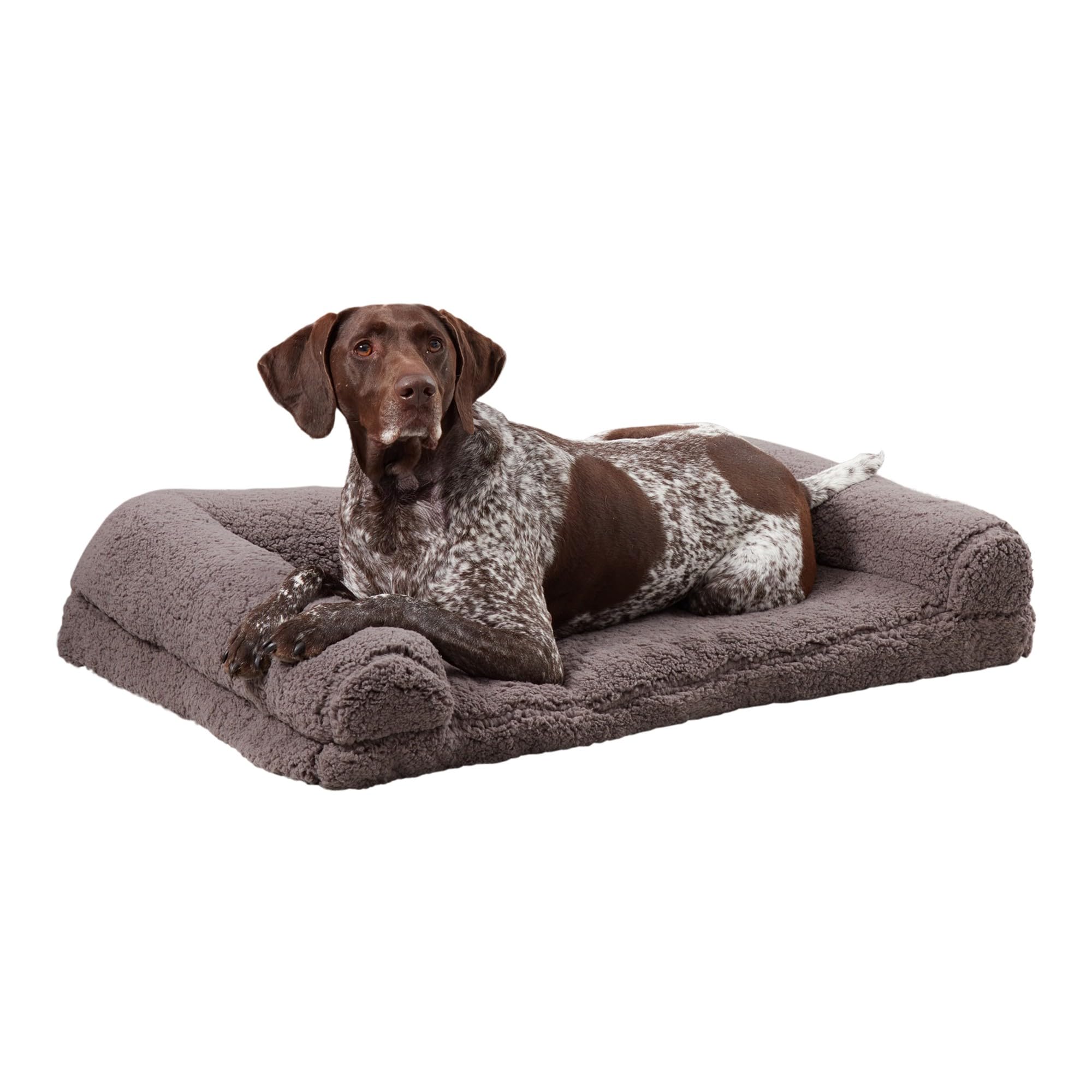 Molly Cozy Sherpa Sofa Style Dog Bed with Removable Cover - Large (36" x 24") - Fossil