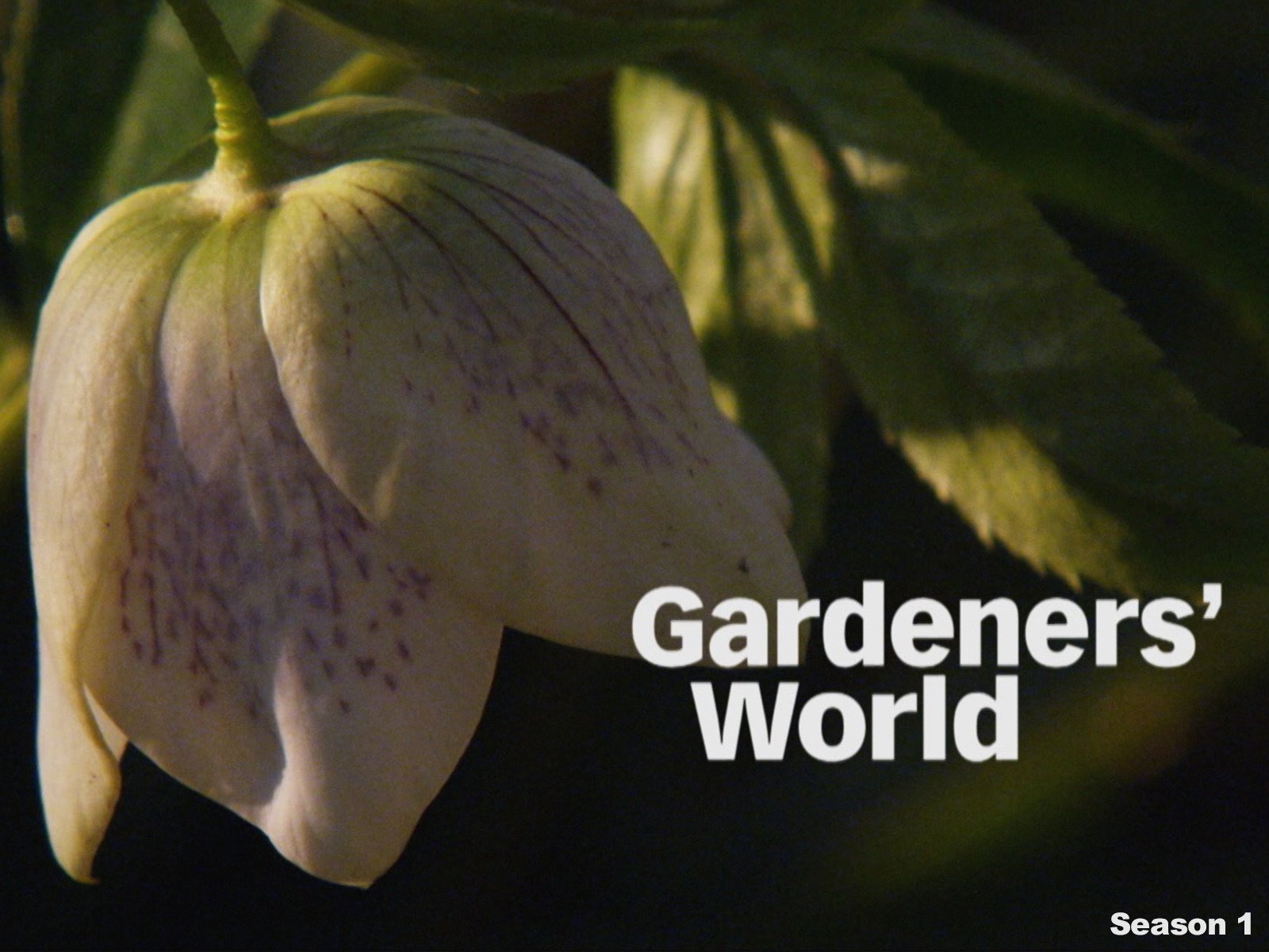 Watch Gardeners' World Season 1 Prime Video