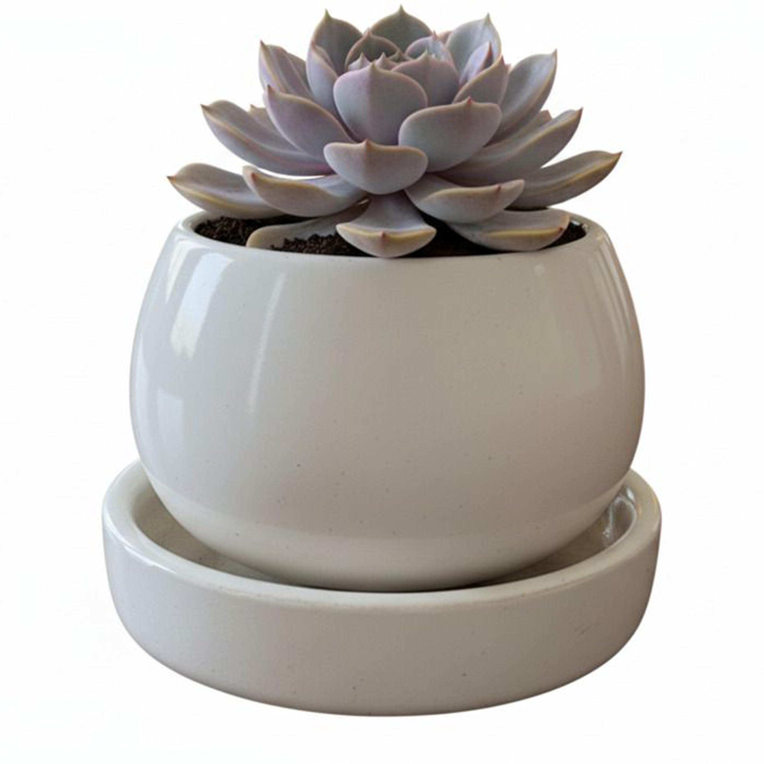 Premium Ceramic Miami Glossy White Plant Pot with Drainage Hole & Tray – 4 Inch | Indoor & Outdoor Planter | Modern Decorative Pot for Home, Office & Balcony |-image-23