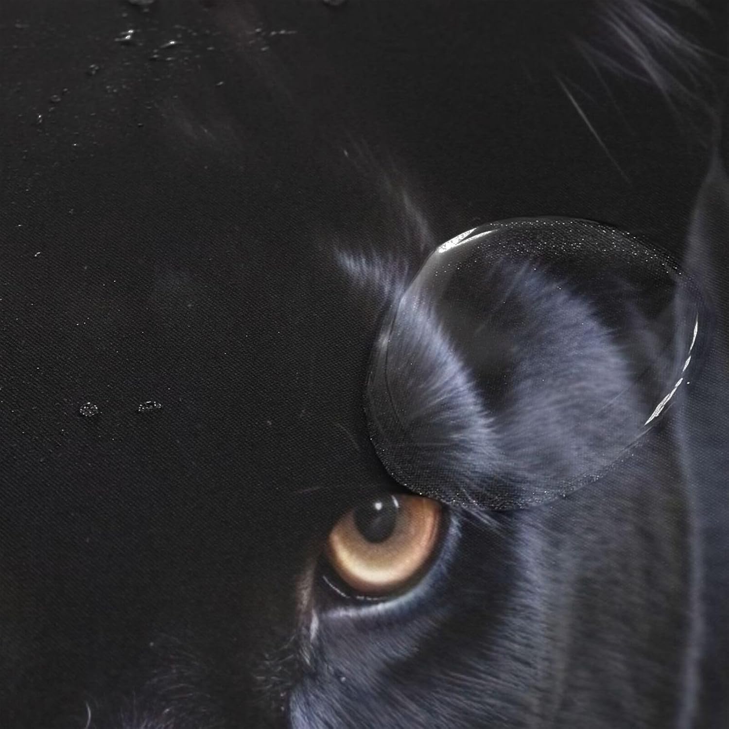 xigua Cool Black Panther Bath Curtain Rugs Sets 2 Pcs,Bathroom Theme Set with Shower Curtain and Non-Slip Carpet -12 Hooks-60X72in246