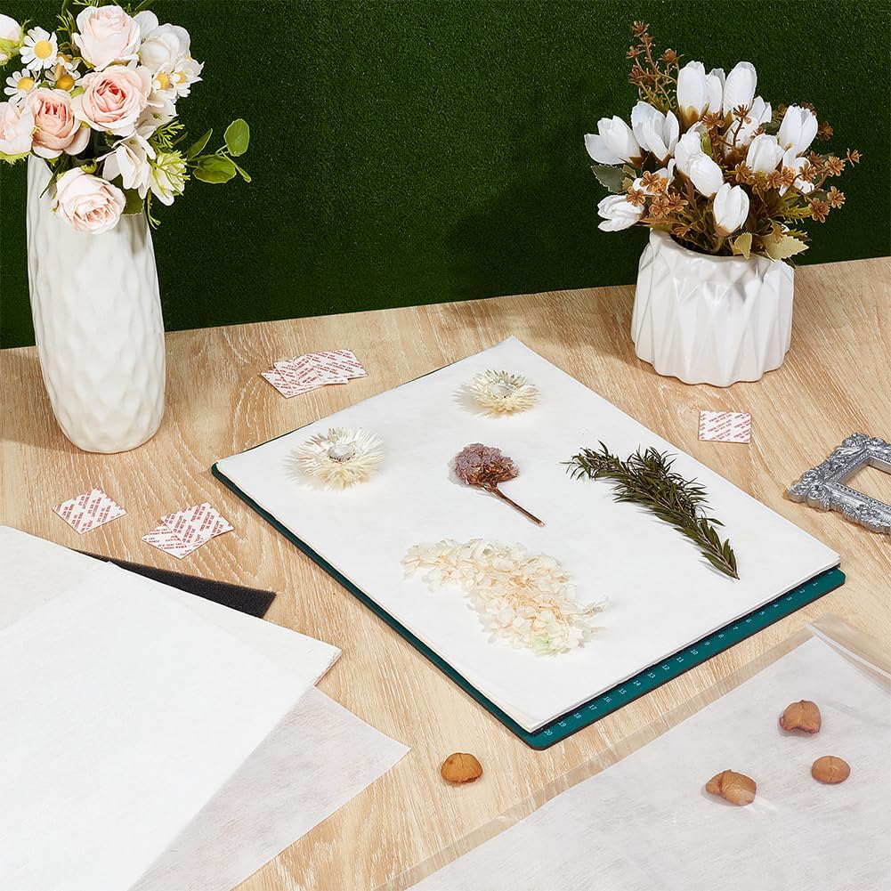 BENECREAT Blotting Board for Flower Press, 6PCS Drying Plates, 6PCS Sponge, 12PCS Lining Paper, Blotting Paper for Creative Pressing DIY Handicrafts Drying Flowers, 11x8.6inch