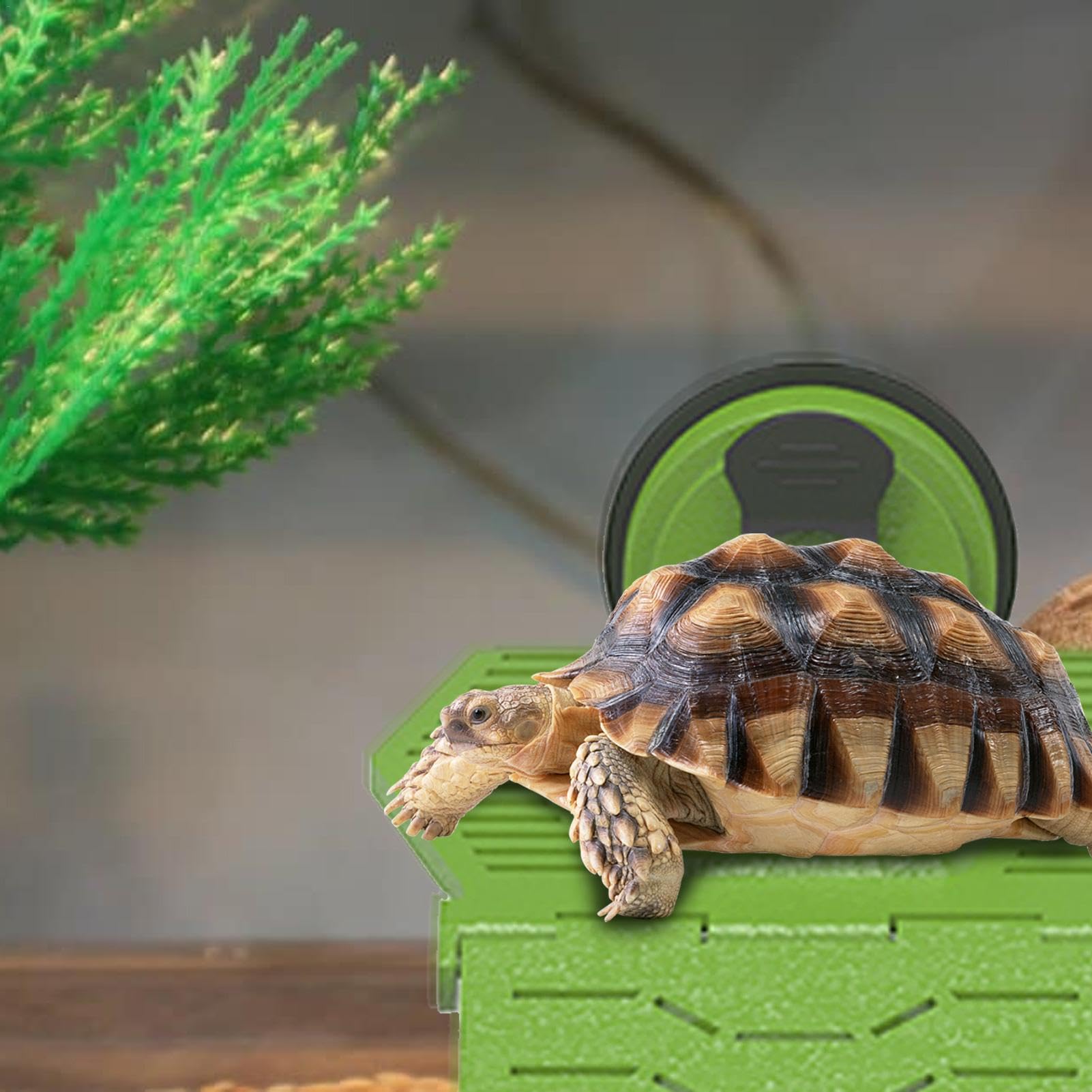 Sonnenliege Für Wasserschildkröten - Schwimmende Insel Mit Rampe, 2 Größen