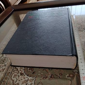 Amazon.co.jp: 中国美術家人名辞書書道絵画大家10万人以上略歴尽覧中国