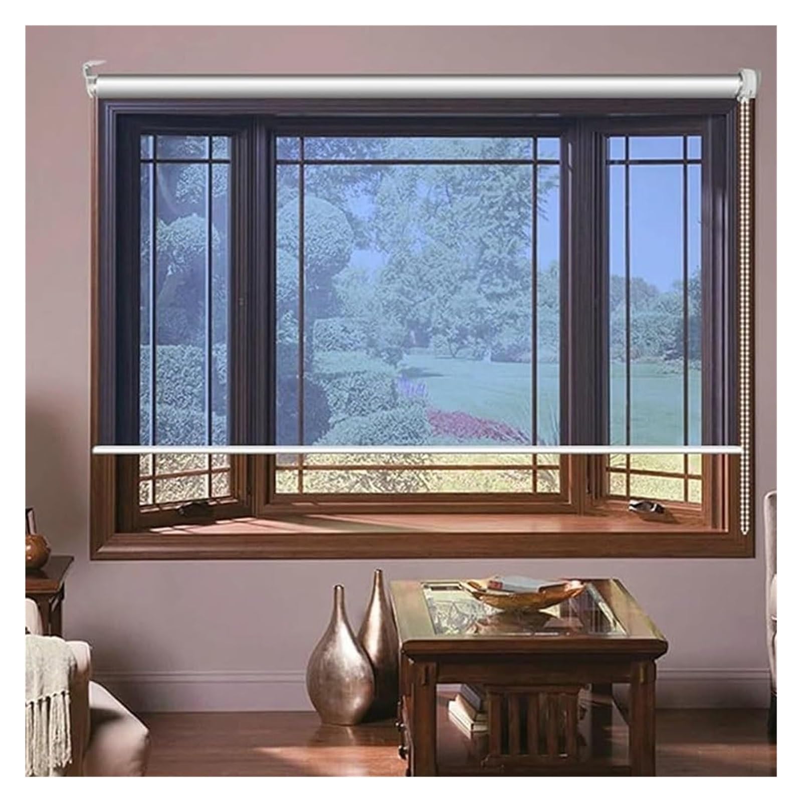 One-Way Mirror Roller Shade Heat Insulation Blinds Roll-Up Way See-Through Clear Darkening Shades For Windows Pull Cord(90x220cm)