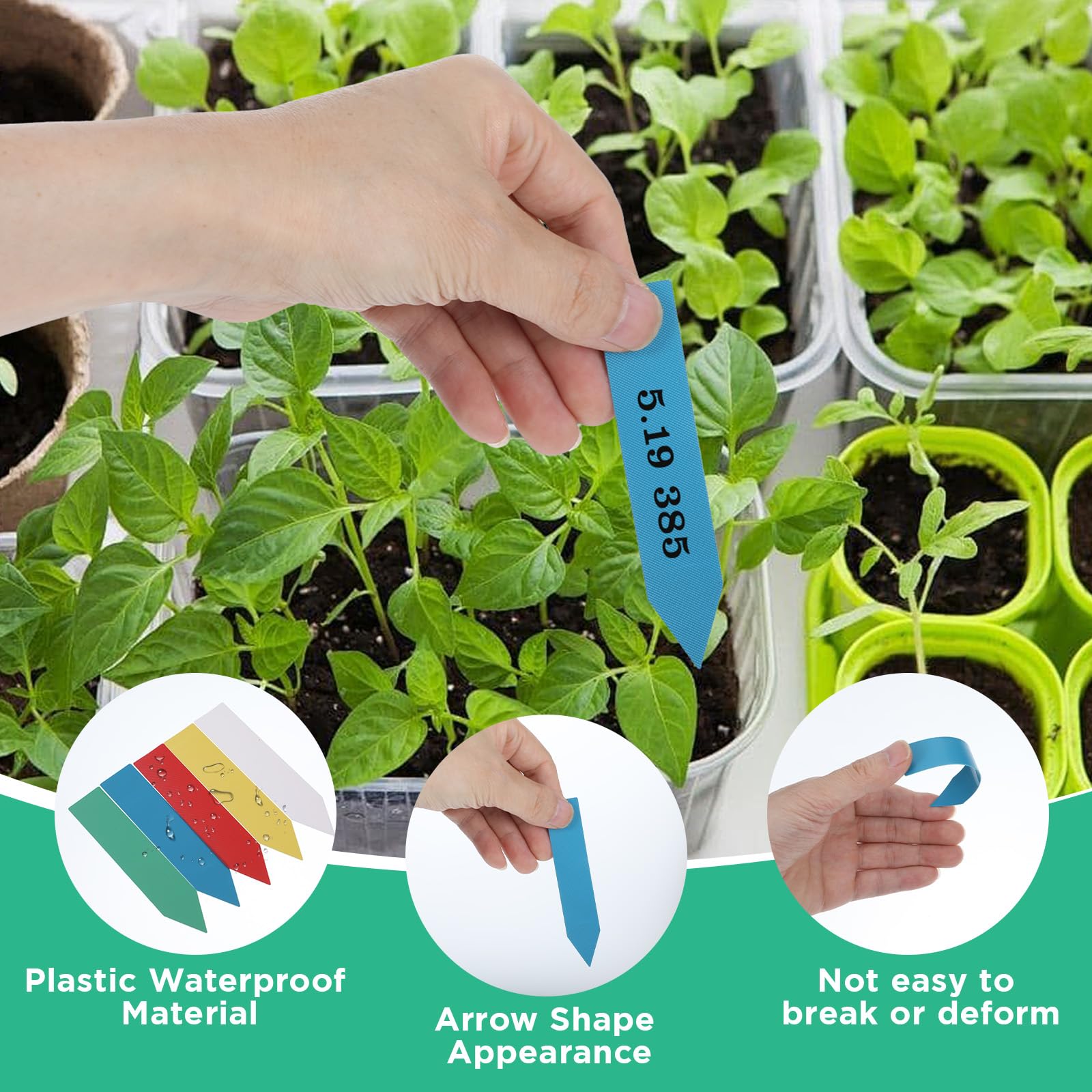 2000 etichette in plastica per piante da giardino da 10,2 cm, etichette impermeabili per vasi, bastoncini per piantare semi, fiori da giardino estivi all'aperto e interni (colori misti)