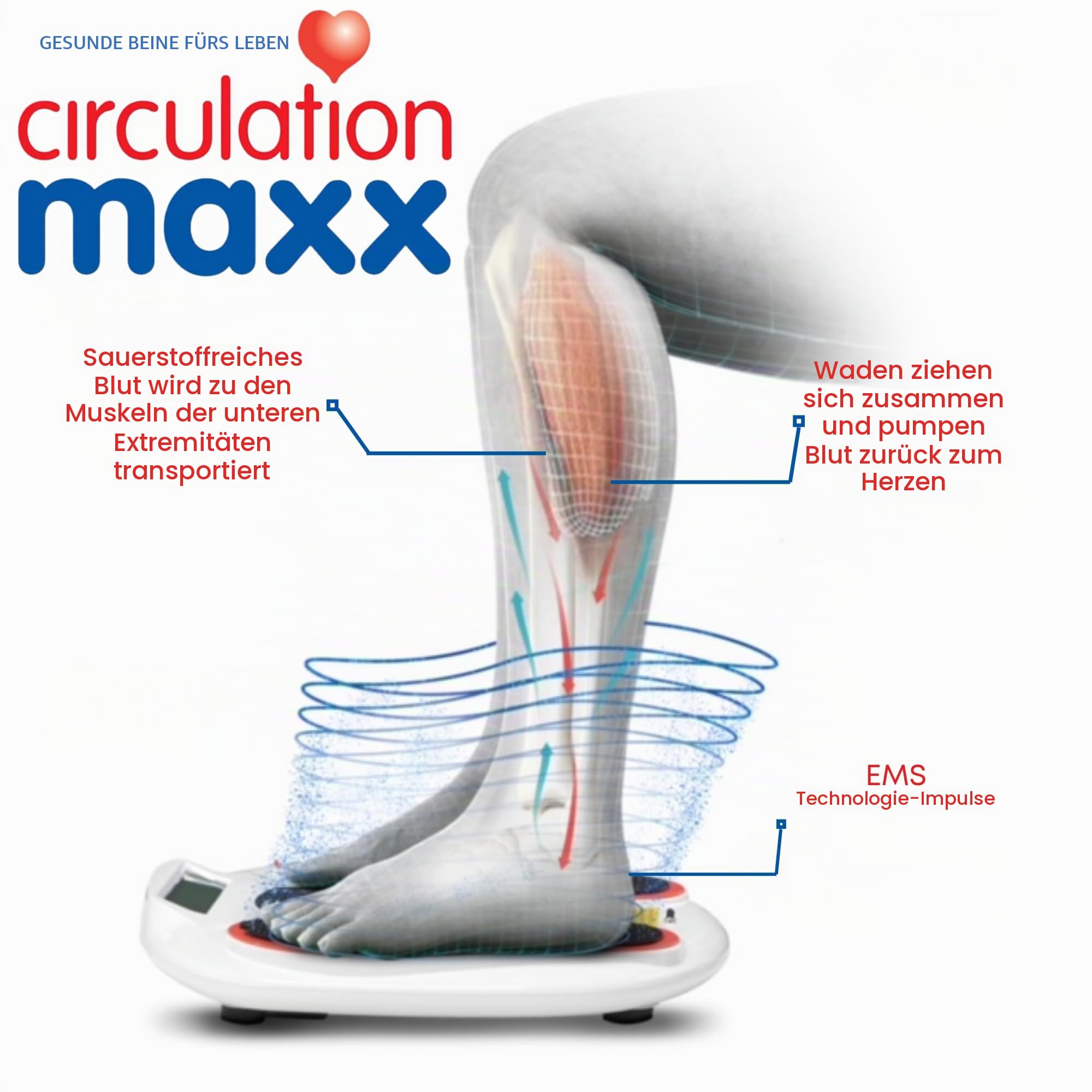 Fußmassagegerät EMS Durchblutungsstimulator – Circulation Maxx Ultra Reviver Reizstrom-Gerät für Füße & Beine, 99 Stufen, 2 Kanäle & Fernbedienung | Muskelentspannung & Wellness zuhause | Vytaliving