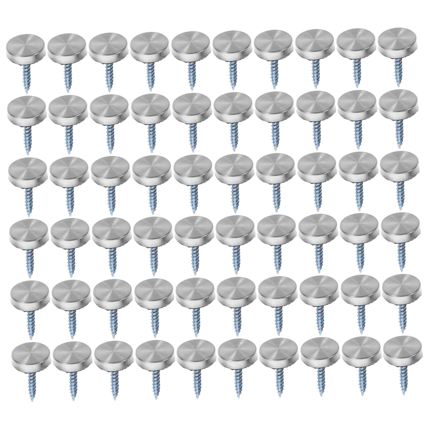 Stainless Steel Mirror Screws with Decorative Covers 100Pcs for Glass Signs