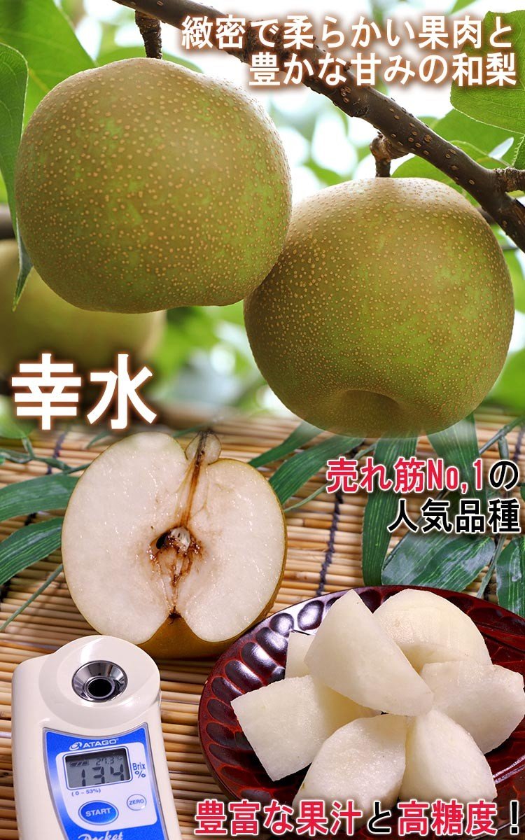 Amazon.co.jp: 市川梨 約5kg 8～16玉 幸水 秀品 大玉中心 贈答規格