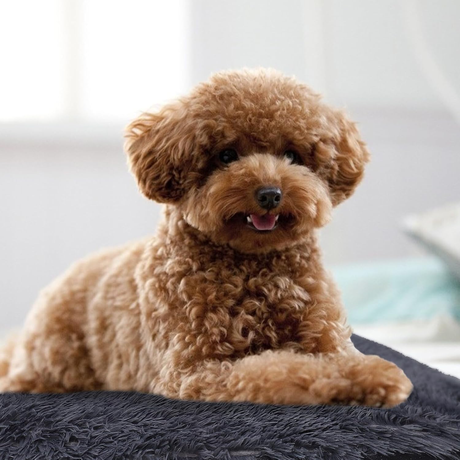 Gadpiparty Warm Plush Pet Bed Mat Large Deep Gray, Soft Winter Sleeping Cushion for Dogs and Cats, Washable Comfortable Pet Rest Pad for Indoor Use