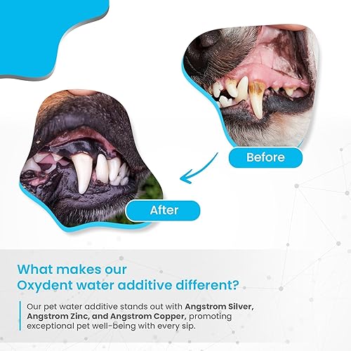 Miniatura 8 de Solución prémium para el cuidado dental de mascotas, aditivo de agua para mascotas y enjuague bucal para limpieza de dientes, la mejor manera de