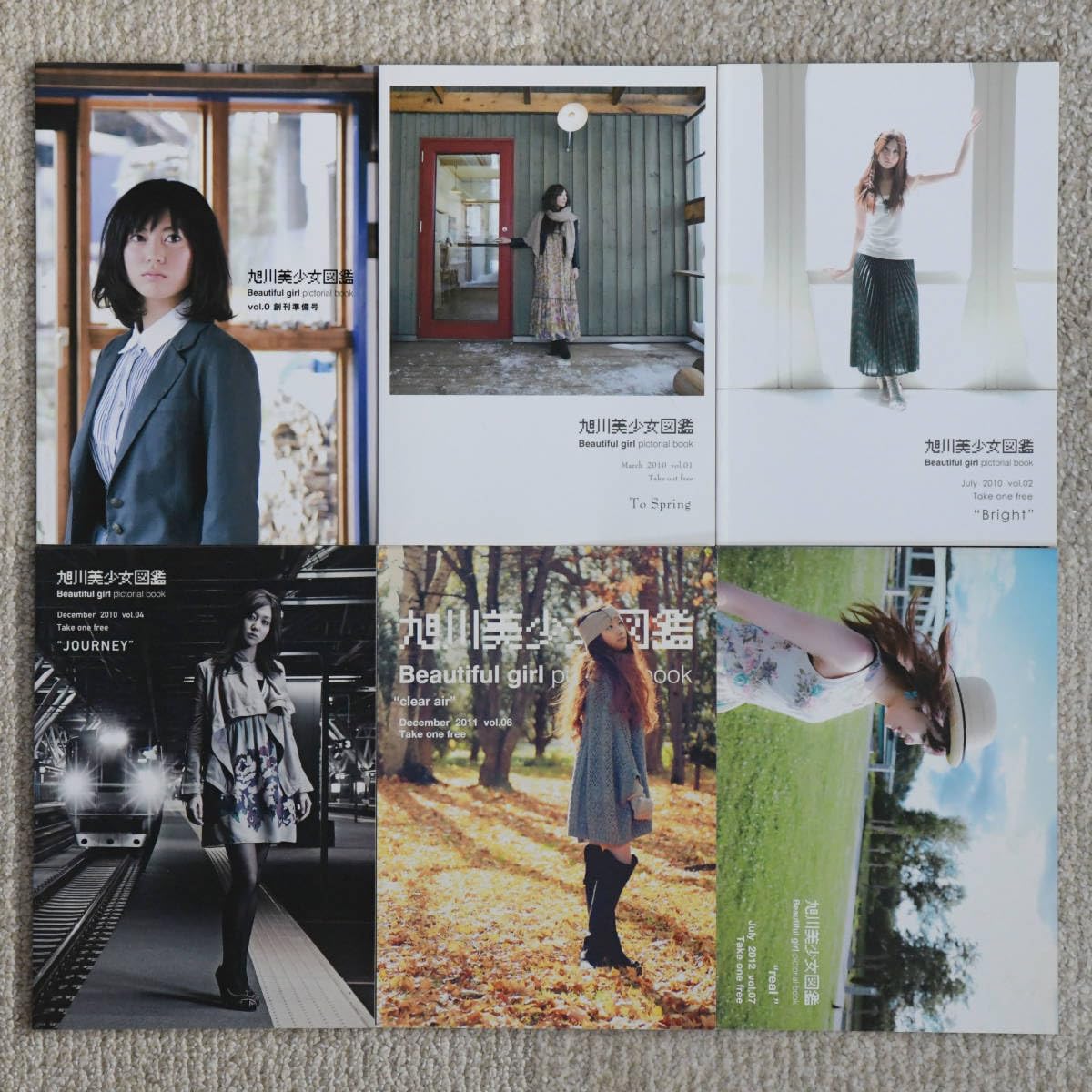 Amazon.co.jp: 美少女図鑑旭川美少女図鑑 6冊セット 入手困難 : おもちゃ