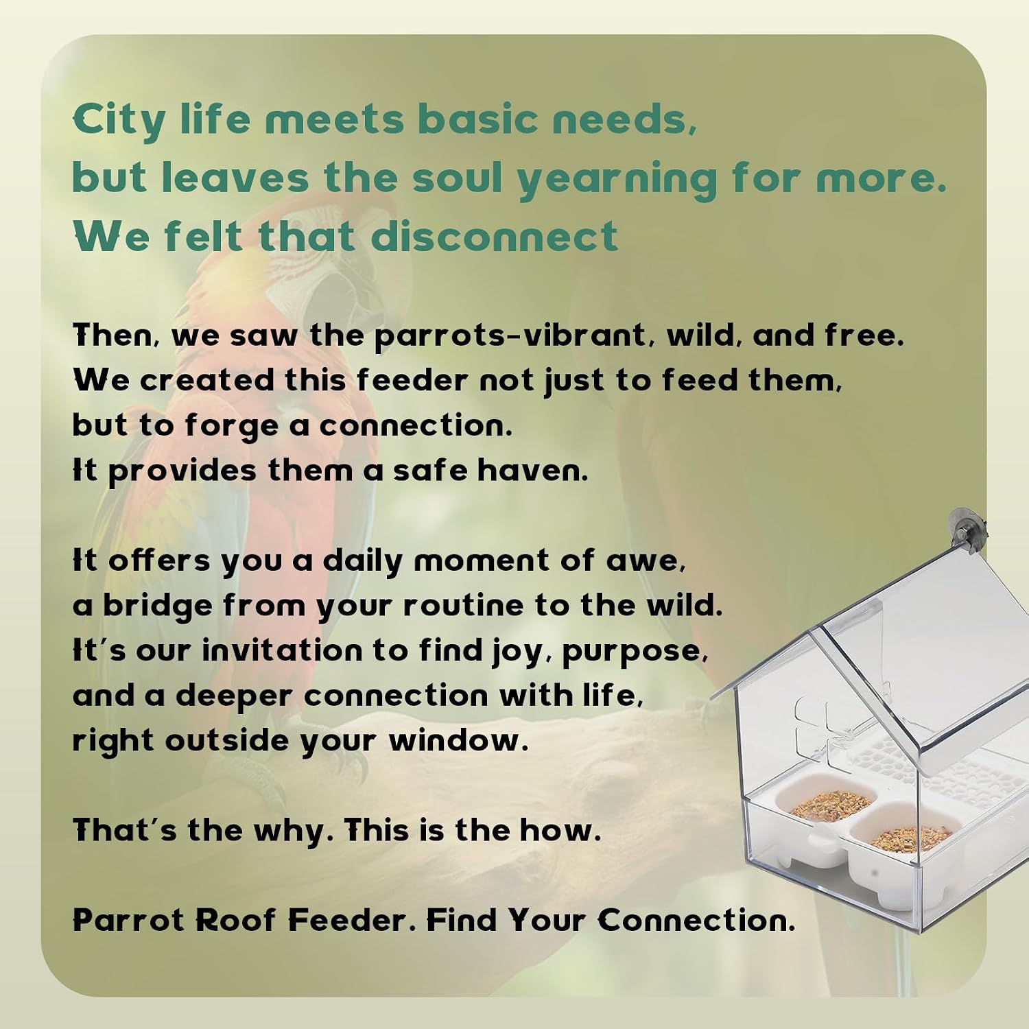 Pull-Out External Parrot Feeder & Bird Bath for Cage - Transparent Easy-Fill Feeder House, Convenient Feeding & Watching for Parrots, Finches, Hummingbirds and Small Birds