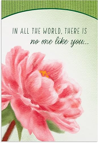 Miniatura 5 de DaySpring - There is No One Like You - Surtido de 4 tarjetas de cumpleaños florales con escritura - 12 tarjetas y sobres de cumpleaños en caja