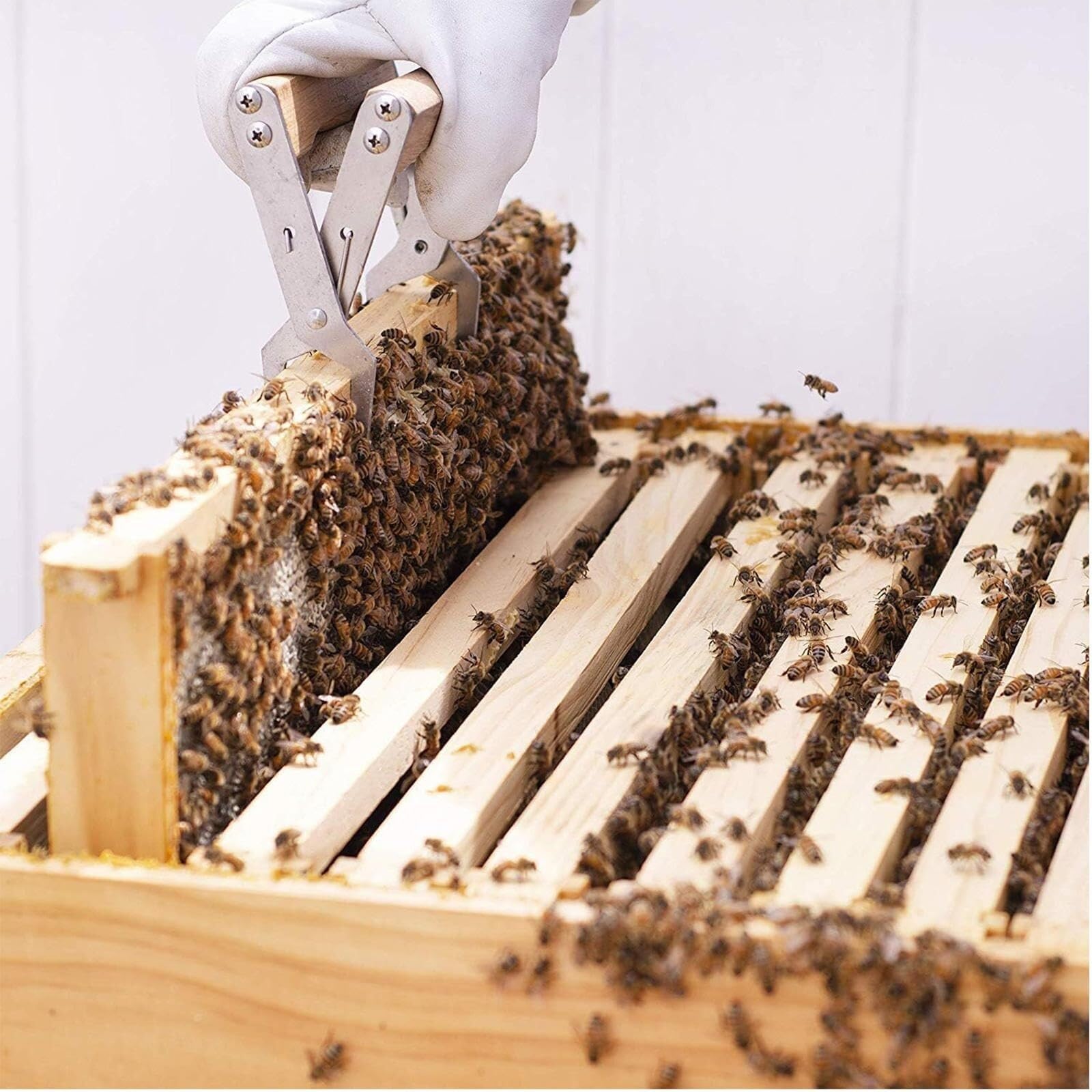 Kit de herramientas for miel de apicultura, 10 piezas, Kit de apicultor principiante y profesional, guantes de apicultor/cepillo for abejas/alimentador de abejas