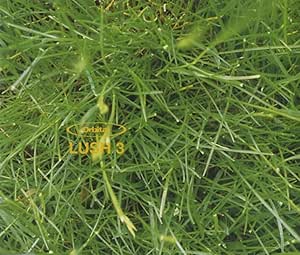 Lush 3: Amazon.ca: Music